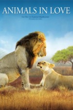 Aşıklar (2007) afişi Aşıklar (2007) afişi