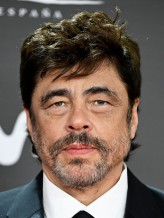 Benicio Del Toro fotoğrafı Benicio Del Toro fotoğrafı